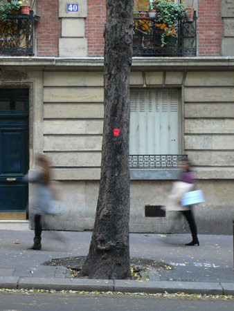 stéphanie bouvier -- Tentative d’épuisement d’un lieu parisien, Georges Perec, 2010